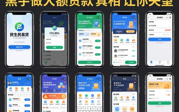 我试了十几款类似民生民易贷的借款软件，黑户做大额贷款的真相可能让你失望