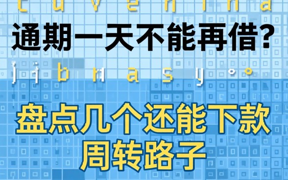 逾期一天不能再借？盘点几个还能下款的周转路子