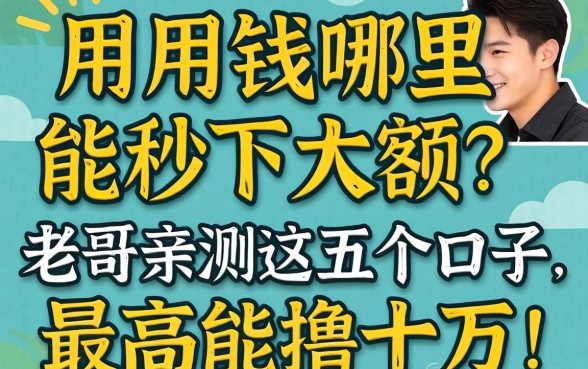 急用钱哪里能秒下大额？老哥亲测这五个口子，最高能撸十万！