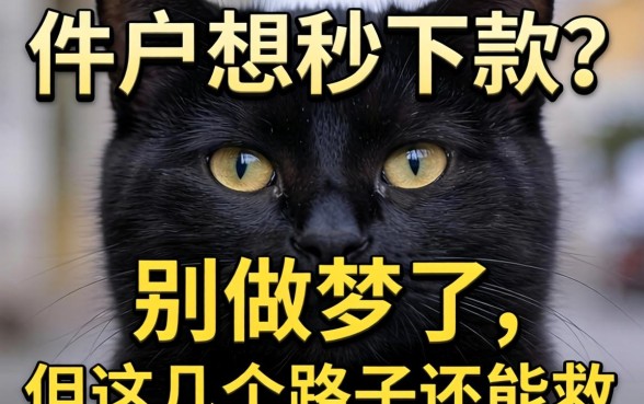 黑户想秒下款？别做梦了，但这几个路子还能救