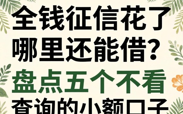 急需用钱征信花了哪里还能借？盘点五个不看查询的小额口子