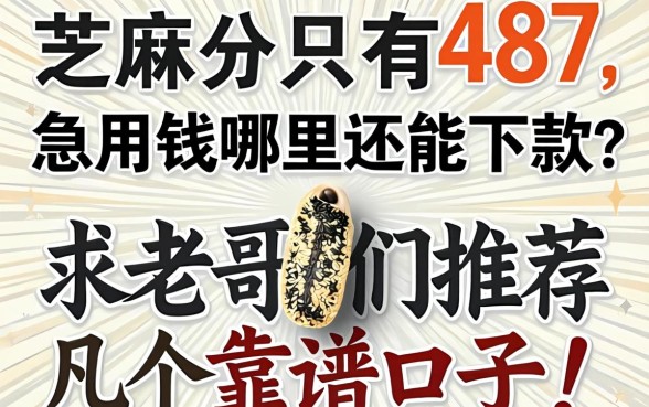 芝麻分只有487，急用钱哪里还能下款？求老哥们推荐几个靠谱口子！