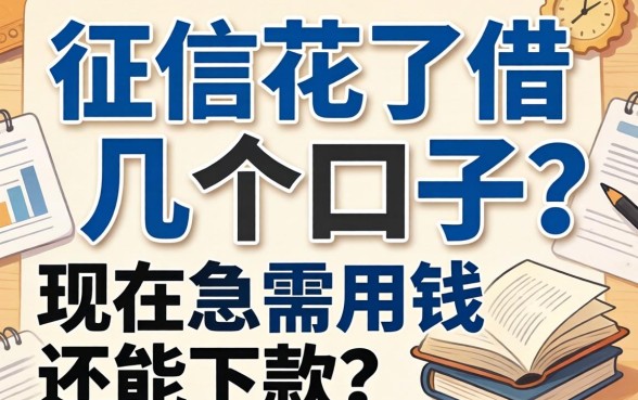 求助!征信花了借了好几个口子,现在急需用钱还能下款吗?