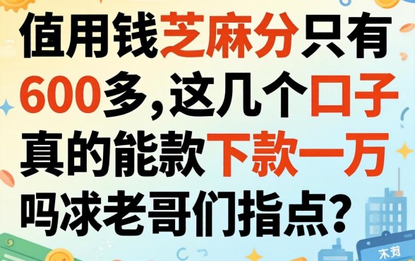 急用钱芝麻分只有600多，这几个口子真的能下款一万吗？求老哥们指点！