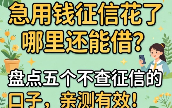 急用钱征信花了哪里还能借？盘点五个不查征信的口子，亲测有效！