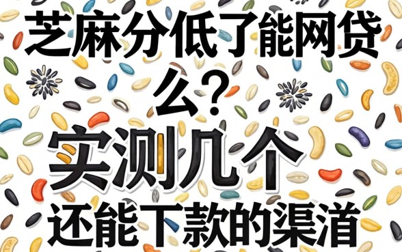 芝麻分低了能网贷么？实测几个还能下款的渠道