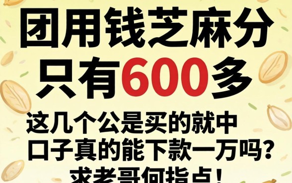 急用钱芝麻分只有600多，这几个口子真的能下款一万吗？求老哥们指点！