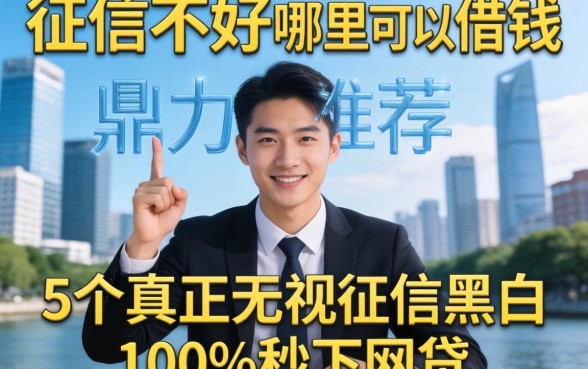 个人征信不好哪里可以借钱2026，鼎力推荐5个真正无视征信黑白100%秒下网贷