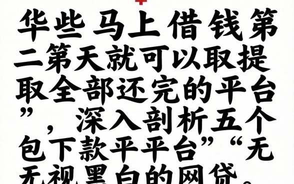 有什么马上借钱第二天就可以提取全部还完的平台，深入剖析五个包下款平台无视黑白的网贷