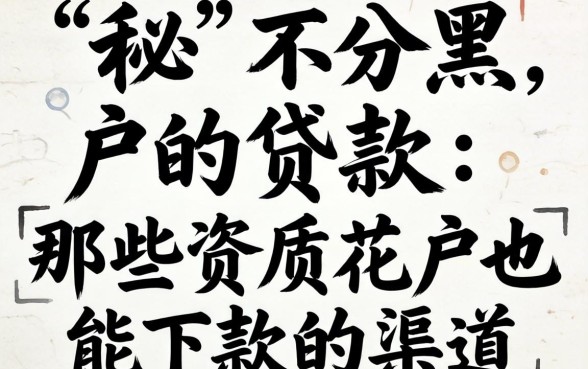 揭秘不分黑户的贷款：那些资质花户也能下款的渠道