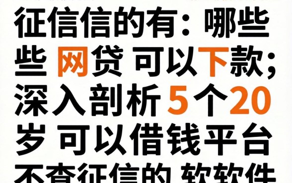 上征信的有哪些网贷可以下款，深入剖析5个20岁可以借钱平台不查征信的软件