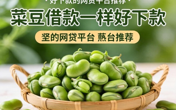 跟芸豆借款一样好下款的网贷平台推荐