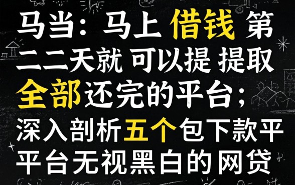 有什么马上借钱第二天就可以提取全部还完的平台，深入剖析五个包下款平台无视黑白的网贷
