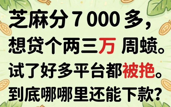 芝麻分700多，想贷个两三万周转，试了好多平台都被拒，到底哪里还能下款？