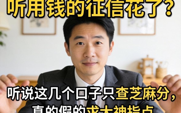 急用钱但征信花了？听说这几个口子只查芝麻分，真的假的？求大神指点！