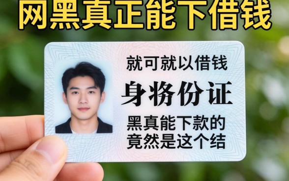 我试了那些只需要身份证就可以借钱的软件，网黑真正能下款的竟然是这个结果