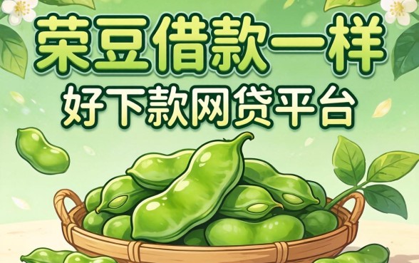 跟芸豆借款一样好下款的网贷平台推荐