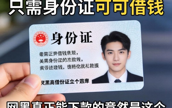 我试了那些只需要身份证就可以借钱的软件，网黑真正能下款的竟然是这个结果