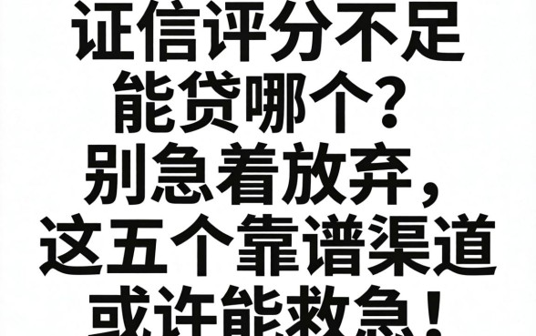 征信评分不足能贷哪个？别急着放弃，这五个靠谱渠道或许能救急！
