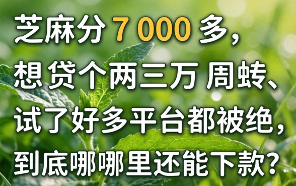 芝麻分700多，想贷个两三万周转，试了好多平台都被拒，到底哪里还能下款？