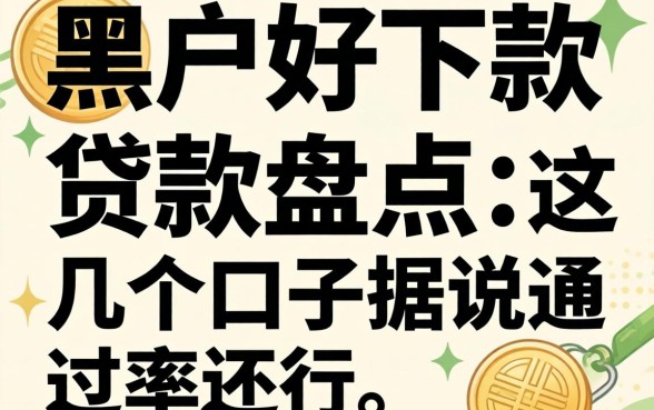 黑户好下款的贷款盘点:这几个口子据说通过率还行