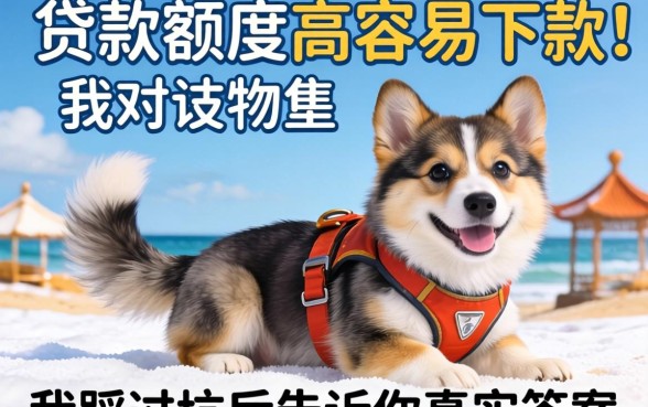 有什么贷款额度高容易下款？我踩过坑后告诉你真实答案