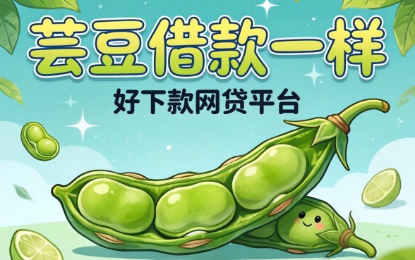 跟芸豆借款一样好下款的网贷平台推荐