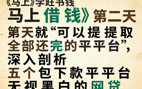有什么马上借钱第二天就可以提取全部还完的平台，深入剖析五个包下款平台无视黑白的网贷