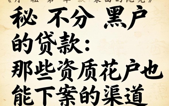 揭秘不分黑户的贷款：那些资质花户也能下款的渠道