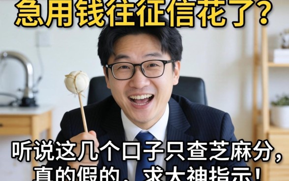 急用钱但征信花了？听说这几个口子只查芝麻分，真的假的？求大神指点！