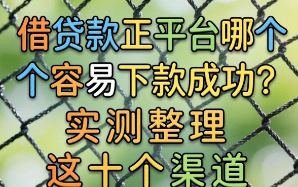 网上借款平台哪个容易下款成功？实测整理这十个渠道