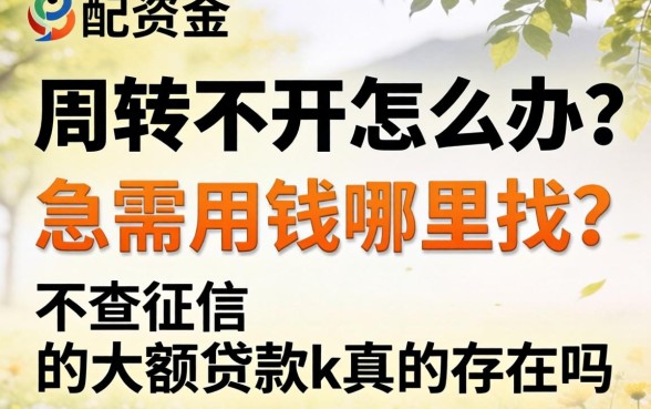 资金周转不开怎么办？急需用钱哪里找？不查征信的大额贷款k真的存在吗？