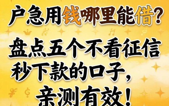 黑户急用钱哪里能借？盘点五个不看征信秒下款的口子，亲测有效！