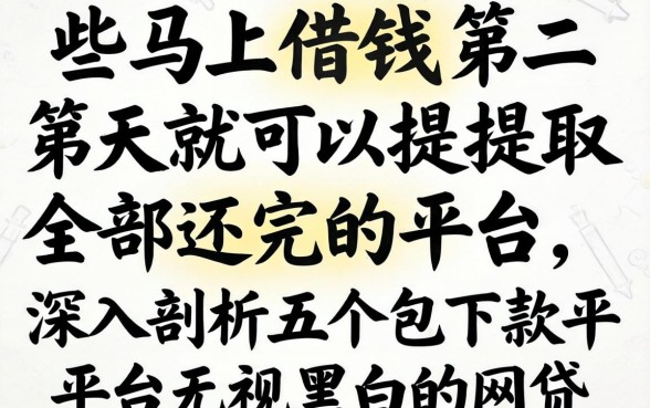 有什么马上借钱第二天就可以提取全部还完的平台，深入剖析五个包下款平台无视黑白的网贷