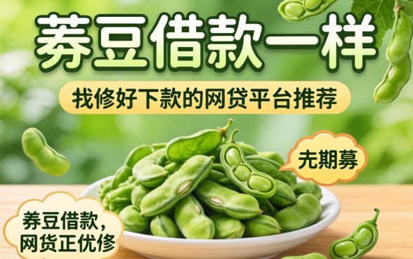 跟芸豆借款一样好下款的网贷平台推荐