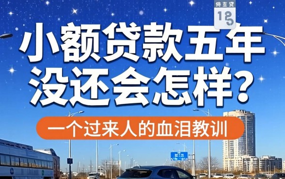小额贷款五年没还会怎样？一个过来人的血泪教训