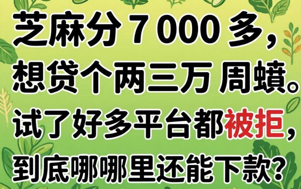 芝麻分700多，想贷个两三万周转，试了好多平台都被拒，到底哪里还能下款？