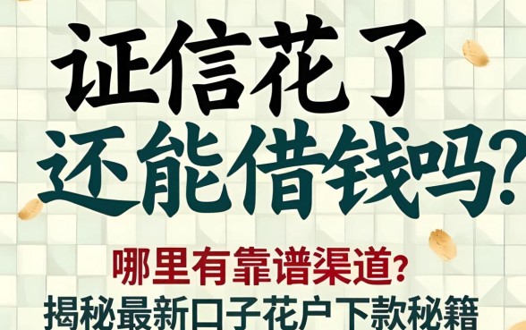 征信花了还能借钱吗？哪里有靠谱渠道？揭秘2026最新口子花户下款秘籍