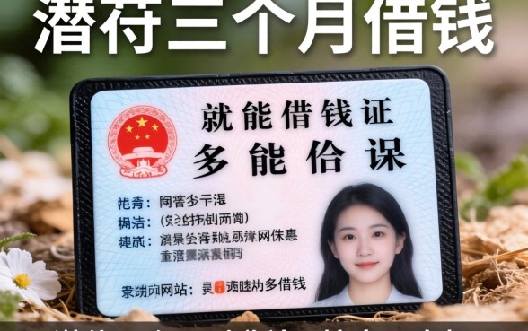 只用身份证就能借钱的网站有哪些？我潜伏三个月挖出了真相