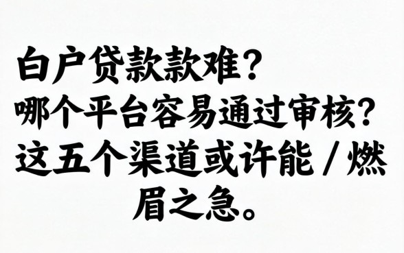 纯白户贷款难？哪个平台容易通过审核？这五个渠道或许能解燃眉之急