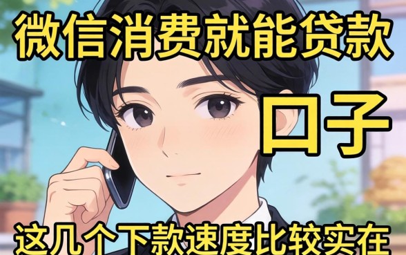 看微信消费就能贷款的口子，这几个下款速度比较实在